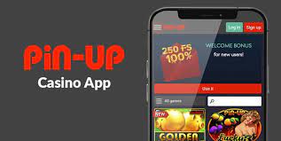 Pin Up is a preferred sporting activities betting and online casino gaming system in India!